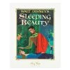 Best deal ✔️ Disney Story Book Deluxe Art Print - Sleeping Beauty ????